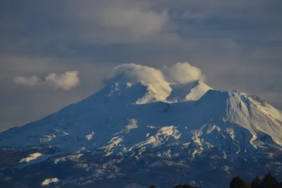 DSC_6012 (Large).JPG